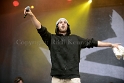 Irie Revoltes (2)