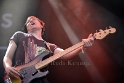 The Wombats (3)